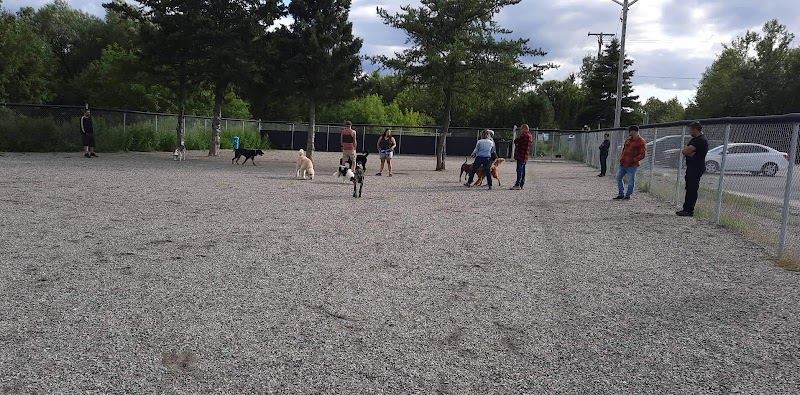 Parc à chien dog park in Saguenay, Quebec