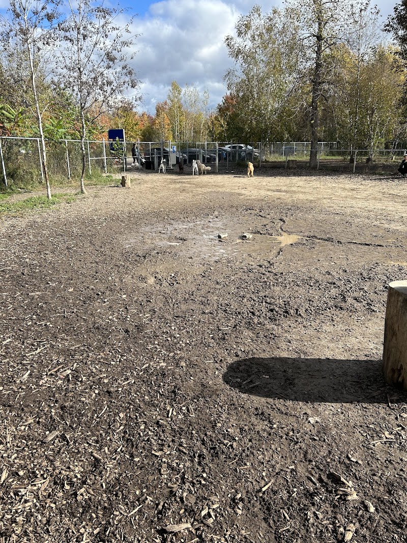 Dog park of Base Plein Air de Sainte-Foy dog park in Québec City, Quebec