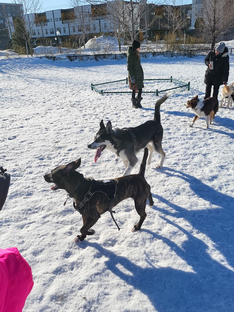 Dog park of Base Plein Air de Sainte-Foy dog park in Québec City, Quebec