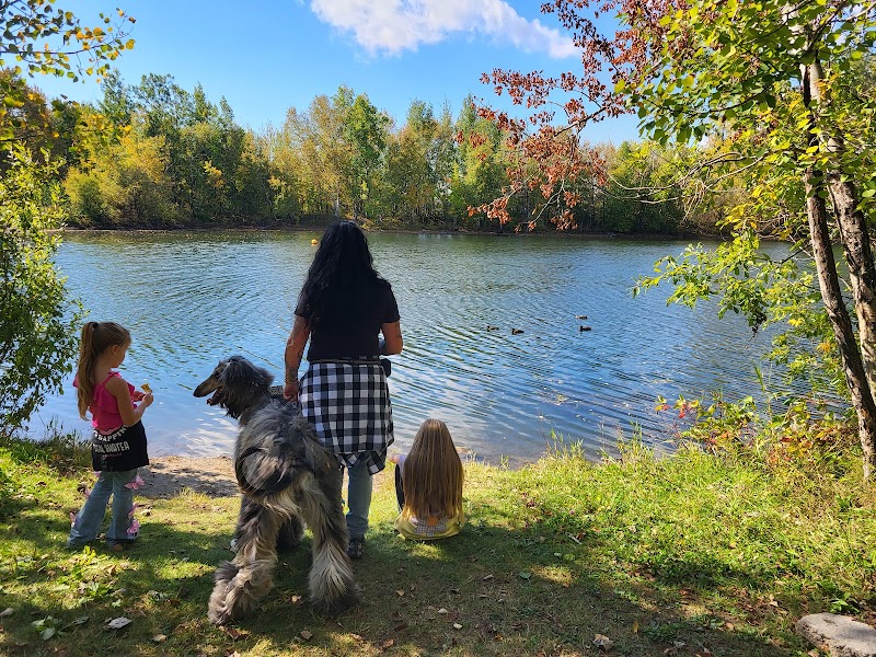 Dog park of Base Plein Air de Sainte-Foy dog park in Québec City, Quebec
