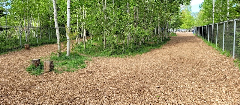 Dog park of Base Plein Air de Sainte-Foy dog park in Québec City, Quebec