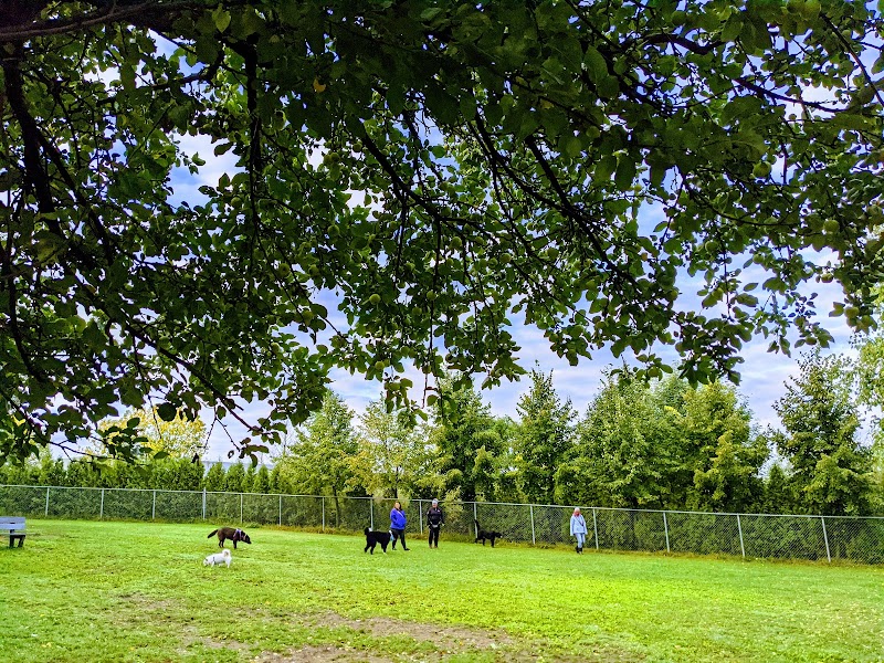 Parc Canin dog park in Saint-Augustin-de-Desmaures, Quebec