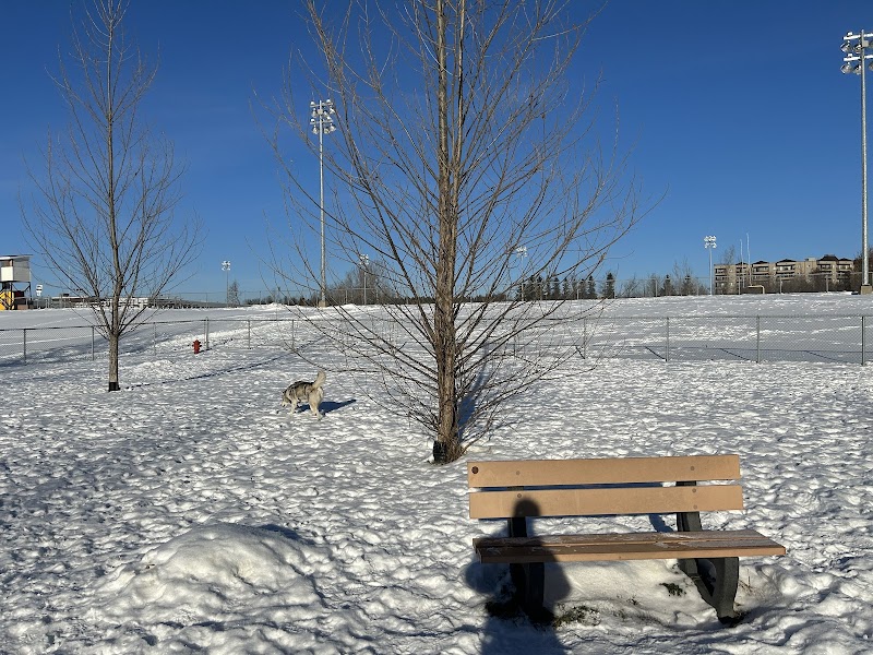 Parc à chiens dog park in Donnacona, Quebec