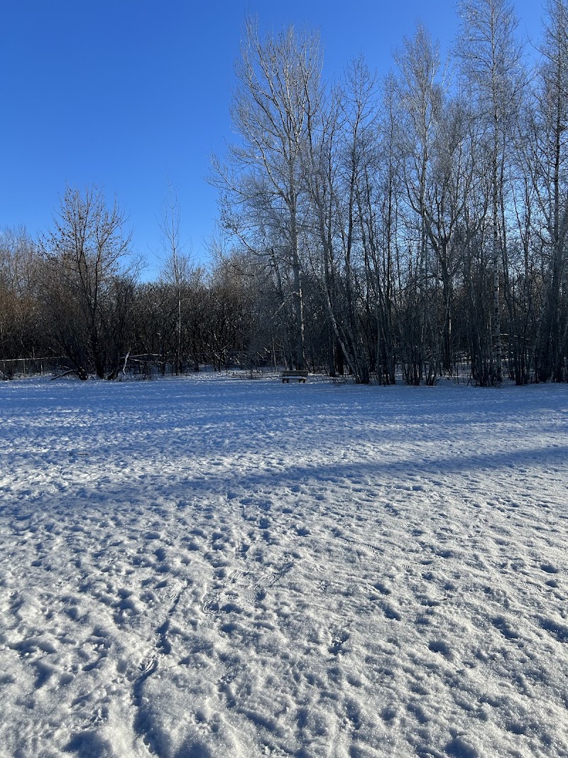 Parc à chiens dog park in Donnacona, Quebec