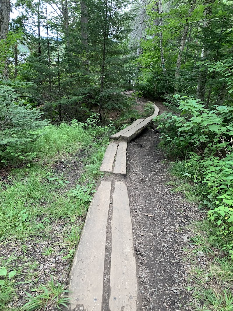 Shannon Dog Park dog park in Shannon, Quebec