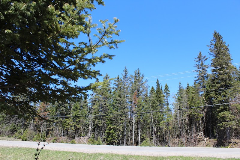Shannon Dog Park dog park in Shannon, Quebec