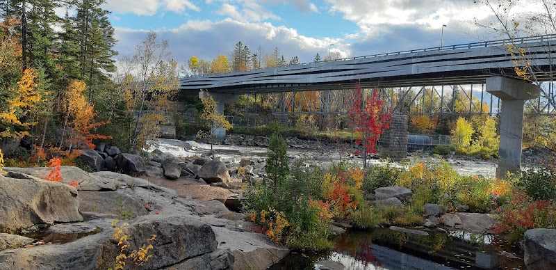 Shannon Dog Park dog park in Shannon, Quebec
