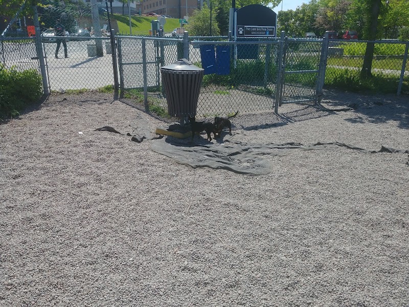 Parc canin de la Pente-Douce dog park in Québec City, Quebec