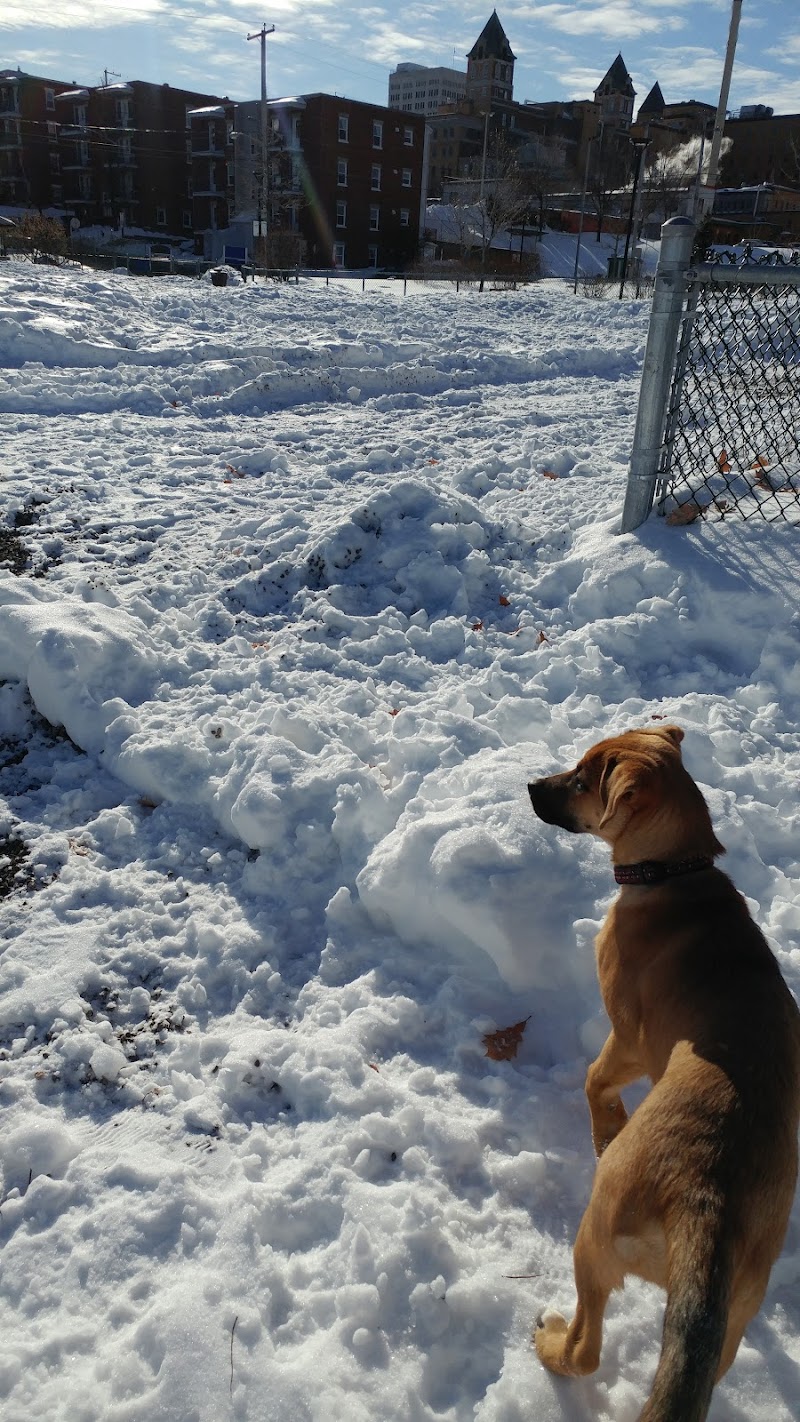 Parc canin de la Pente-Douce dog park in Québec City, Quebec