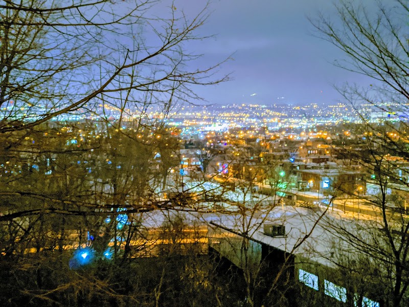 Parc canin de la Pente-Douce dog park in Québec City, Quebec