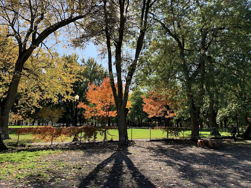Parc La Fontaine Dog Park dog park in Montreal, Quebec