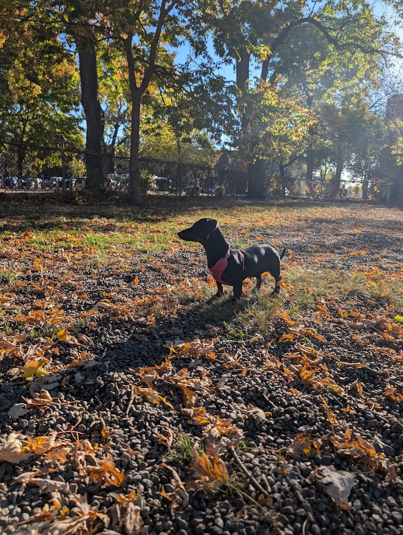 Parc La Fontaine Dog Park dog park in Montreal, Quebec