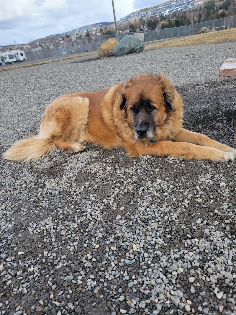 Parc Canin dog park in Thetford Mines, Quebec