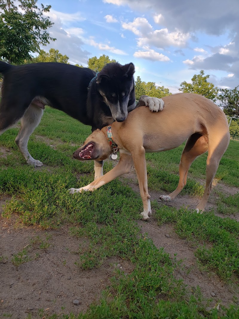 Lalancette Park dog park dog park in Montreal, Quebec