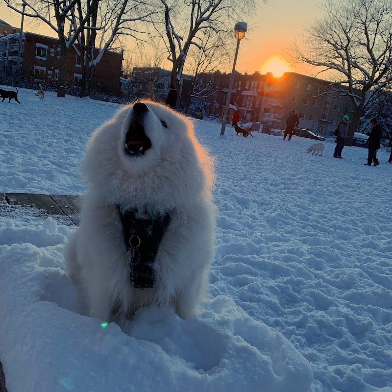 Lalancette Park dog park dog park in Montreal, Quebec