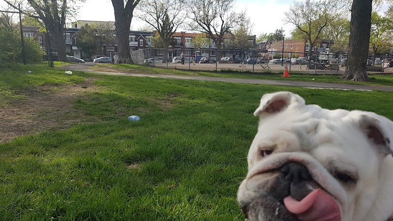 Lalancette Park dog park dog park in Montreal, Quebec