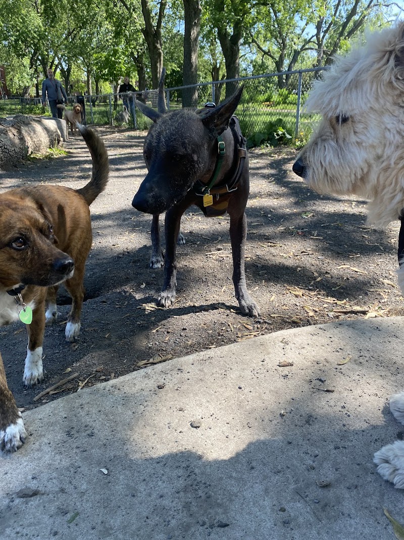 Lalancette Park dog park dog park in Montreal, Quebec