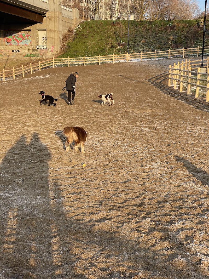 Dog Park at Winston Churchill Park dog park in Toronto, Ontario