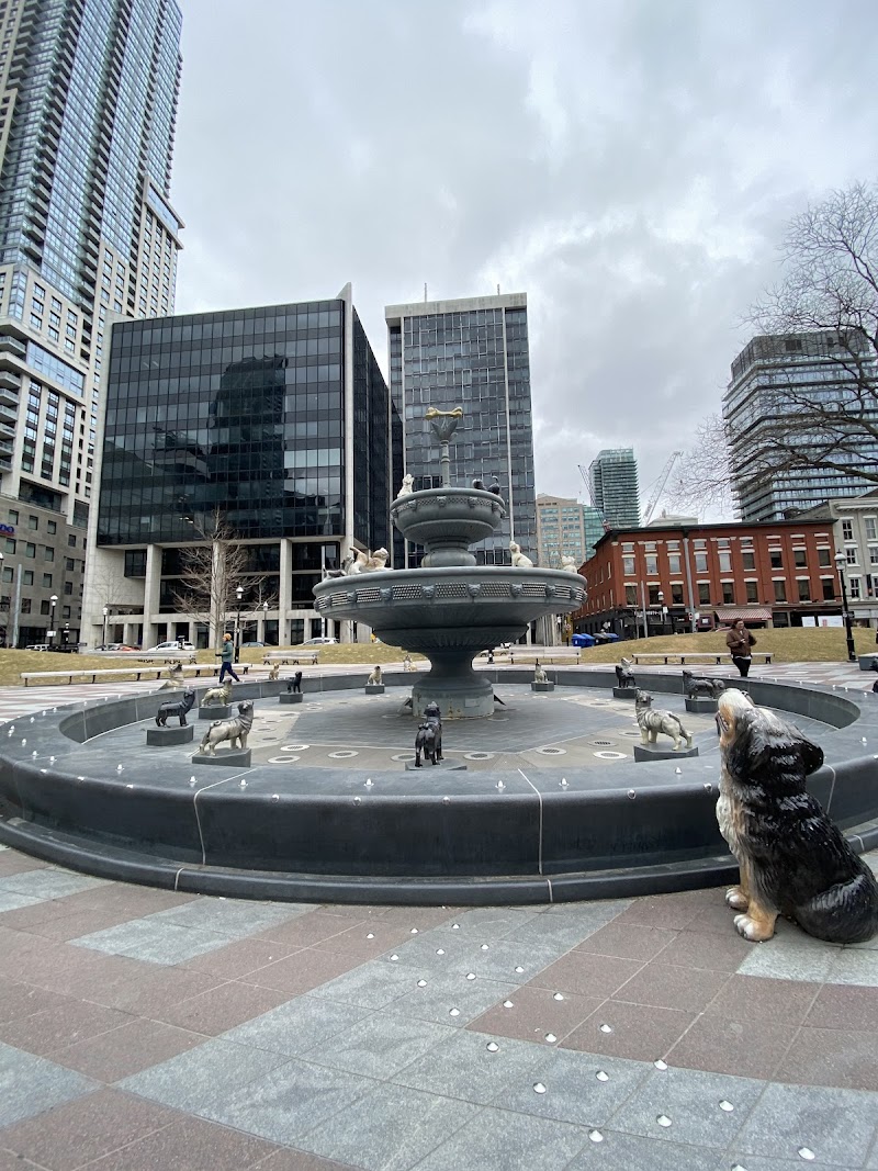 Dog Park at Winston Churchill Park dog park in Toronto, Ontario
