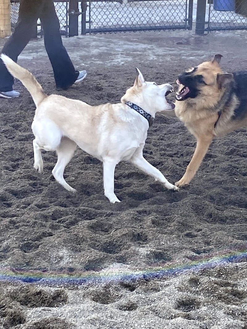 Dog Park at Winston Churchill Park dog park in Toronto, Ontario