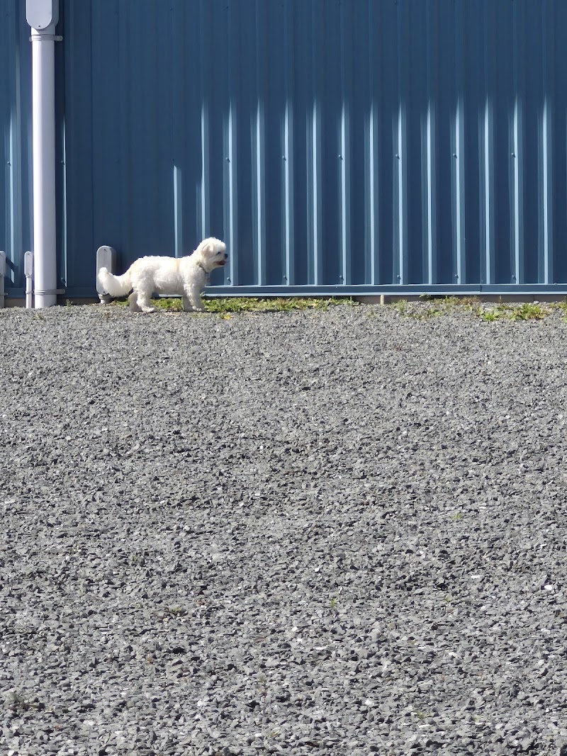 Dog Park dog park in Rivière-du-Loup, Quebec