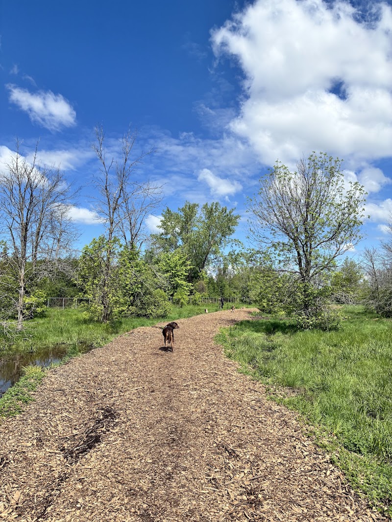 Surrey dog park dog park in Dorval, Quebec