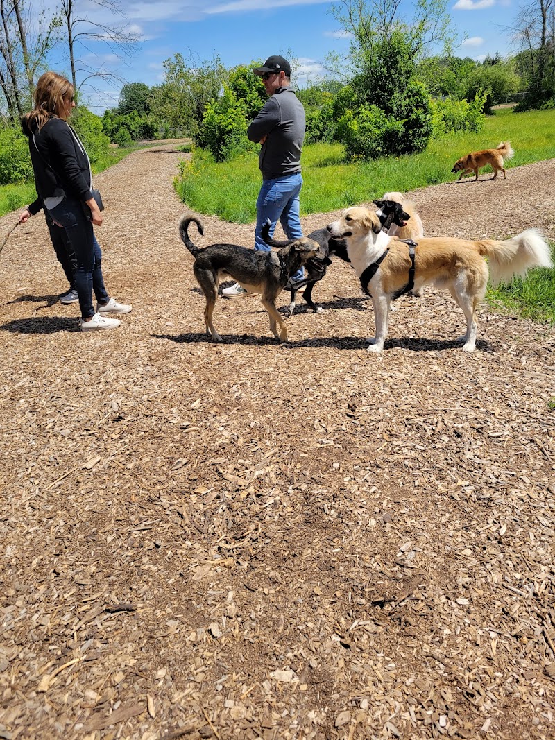 Surrey dog park dog park in Dorval, Quebec