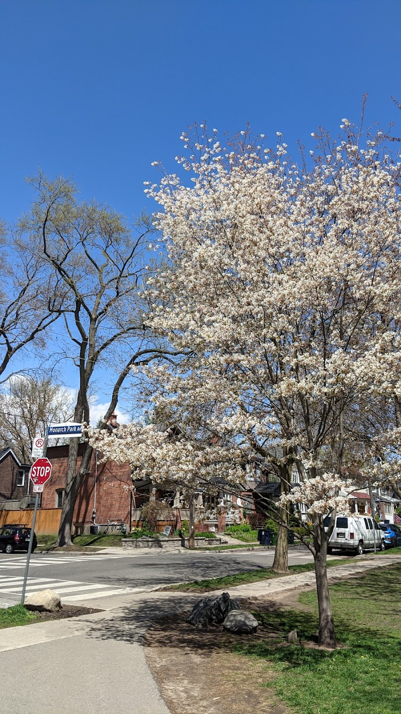 Monarch Dog Park dog park in Toronto, Ontario