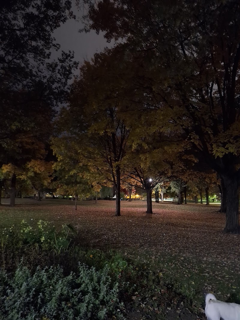 Monarch Dog Park dog park in Toronto, Ontario
