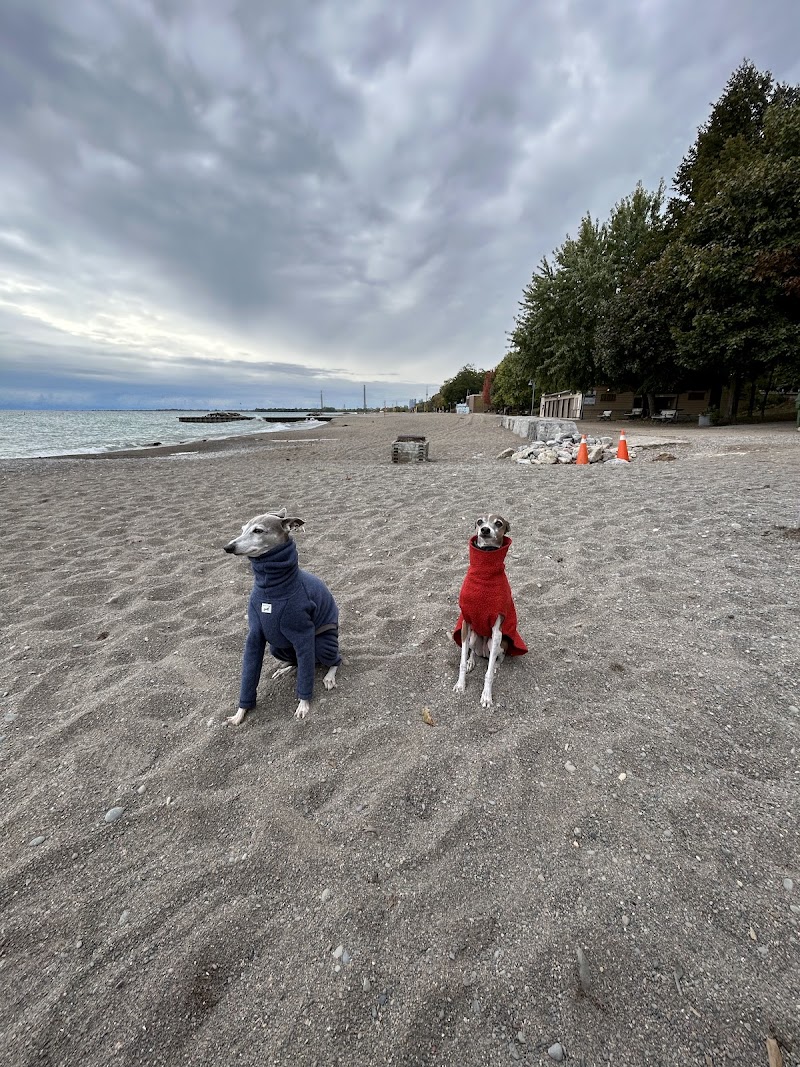 Silver Birch Off-Leash Dog Park dog park in Toronto, Ontario