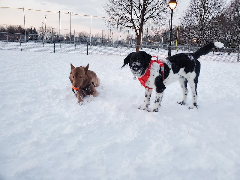 Parc à chiens du parc de l’école secondaire de la Pointe-aux-Trembles dog park in Montreal, Quebec