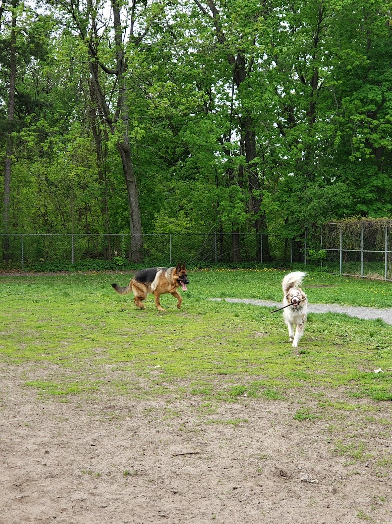 Parc à chiens du parc de l’école secondaire de la Pointe-aux-Trembles dog park in Montreal, Quebec