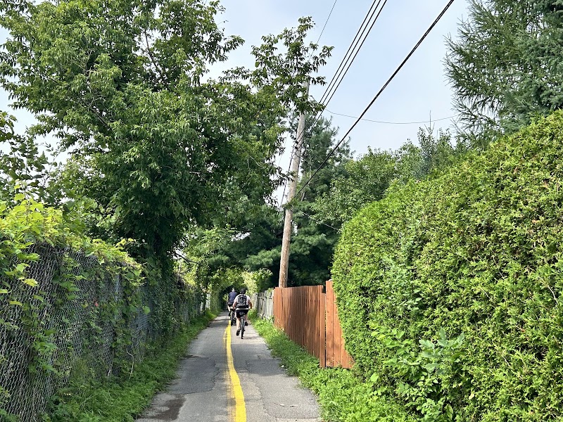Parc à chiens du parc de l’école secondaire de la Pointe-aux-Trembles dog park in Montreal, Quebec