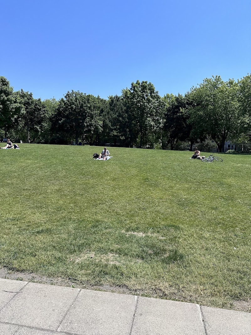 Jarry dog Park dog park in Montreal, Quebec