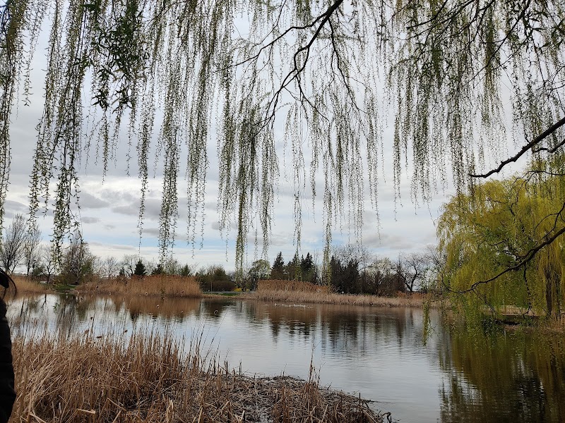 Jarry dog Park dog park in Montreal, Quebec