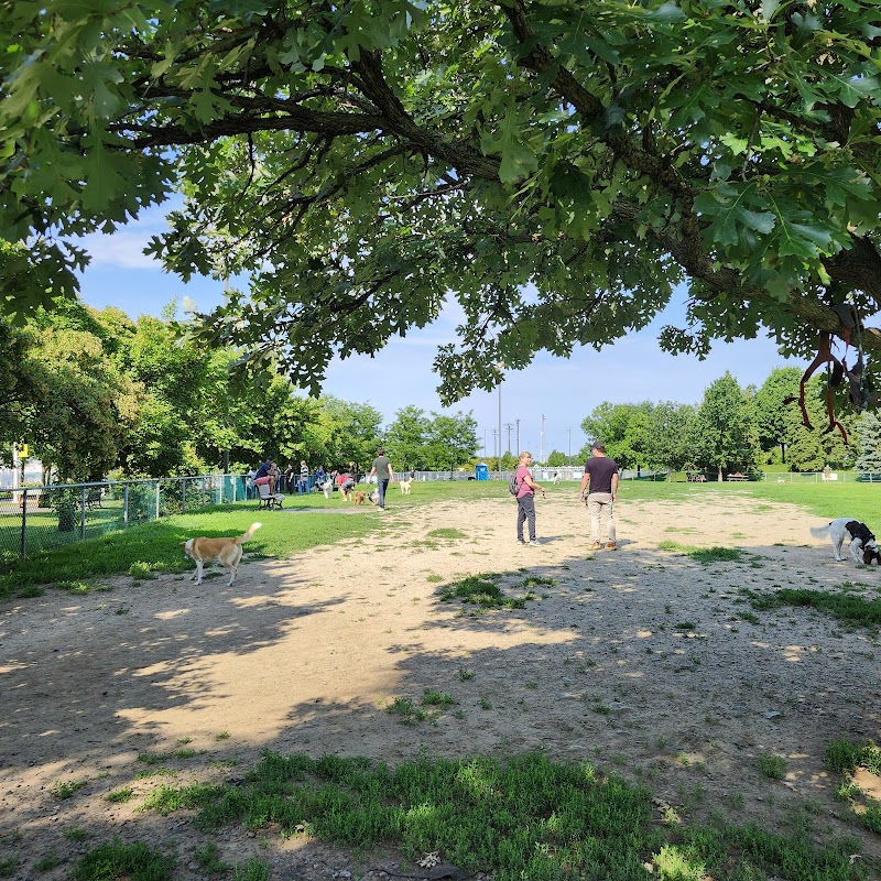 Jarry dog Park dog park in Montreal, Quebec