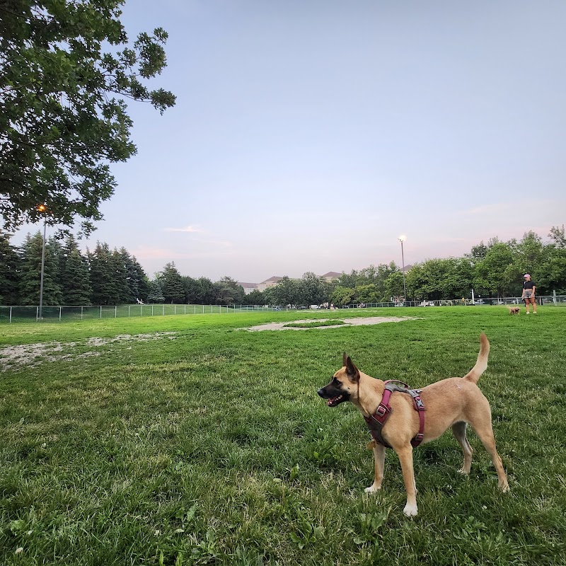 Jarry dog Park dog park in Montreal, Quebec