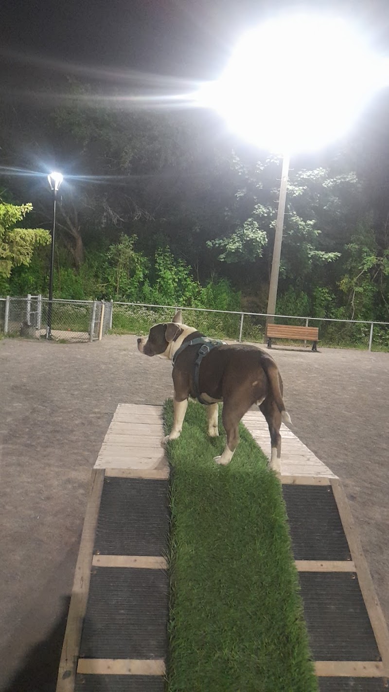 Lucie-Bruneau Park dog park dog park in Montreal, Quebec