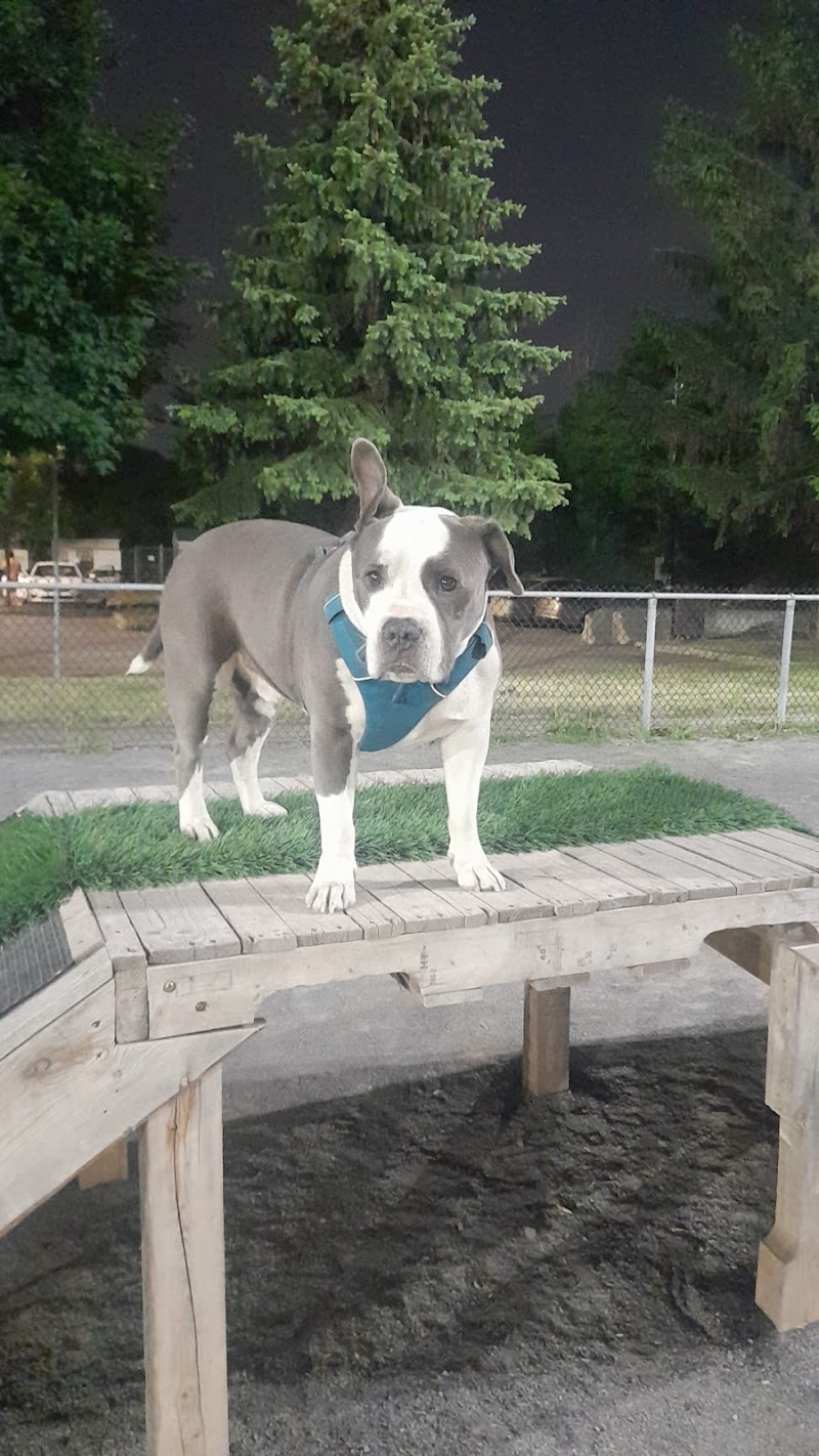 Lucie-Bruneau Park dog park dog park in Montreal, Quebec