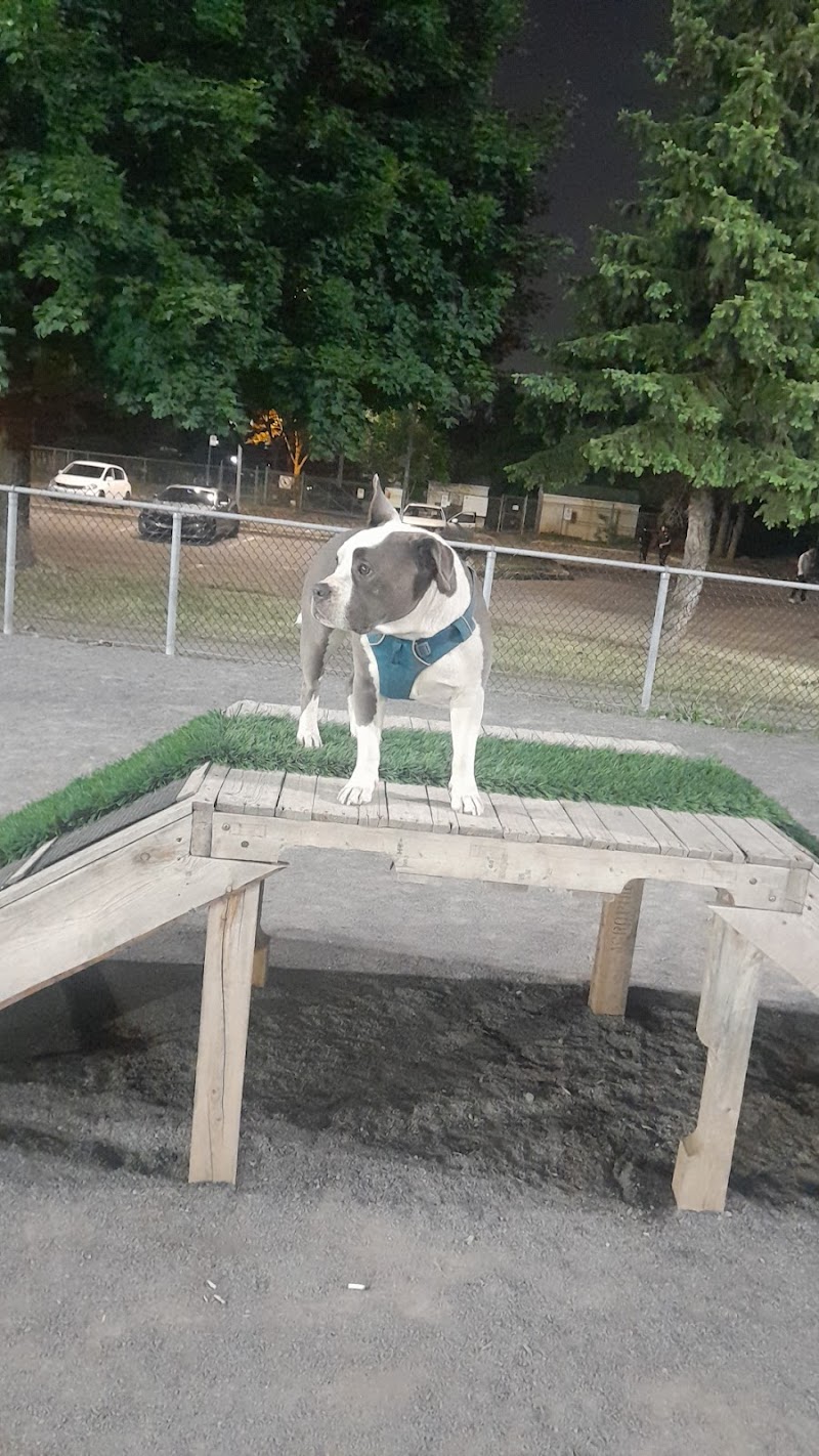 Lucie-Bruneau Park dog park dog park in Montreal, Quebec