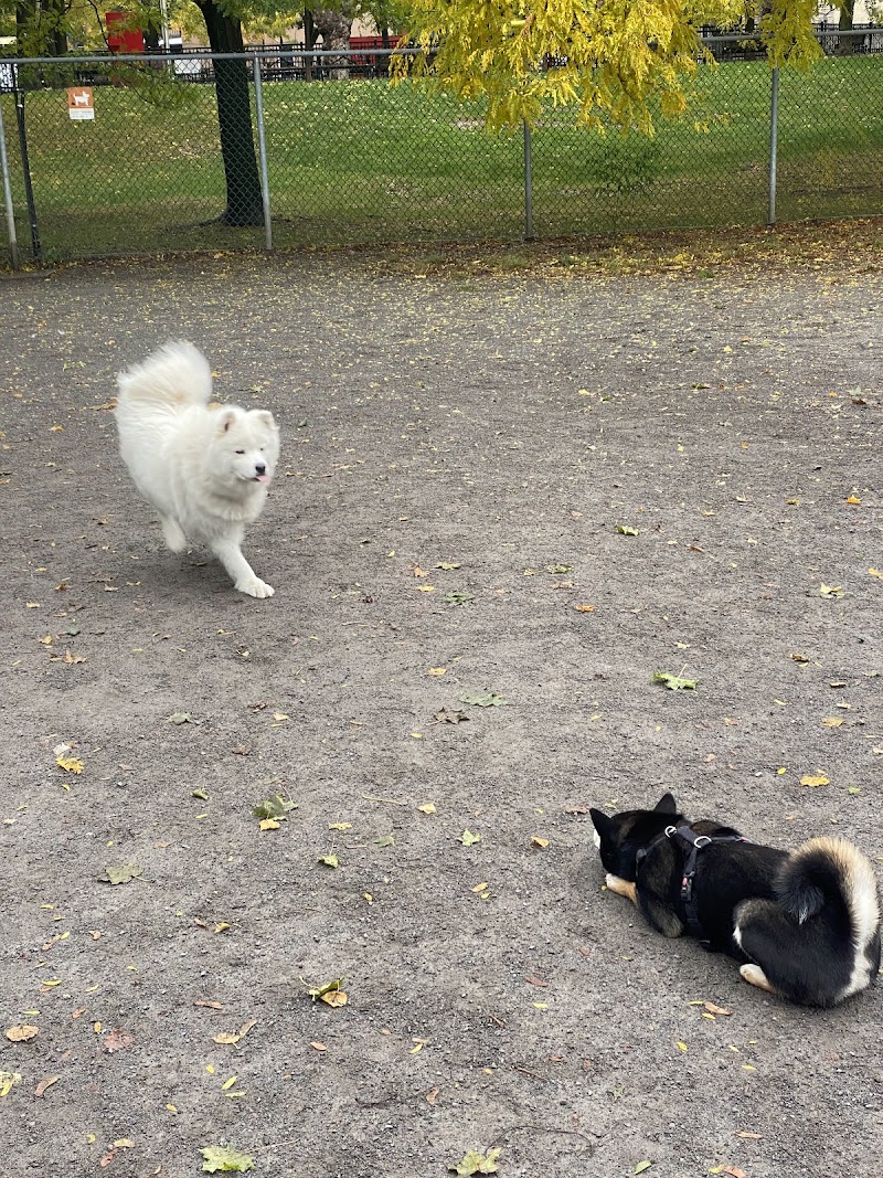 Parc des Royaux dog park dog park in Montreal, Quebec