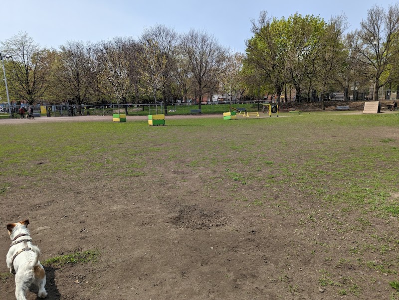 Parc des Royaux dog park dog park in Montreal, Quebec