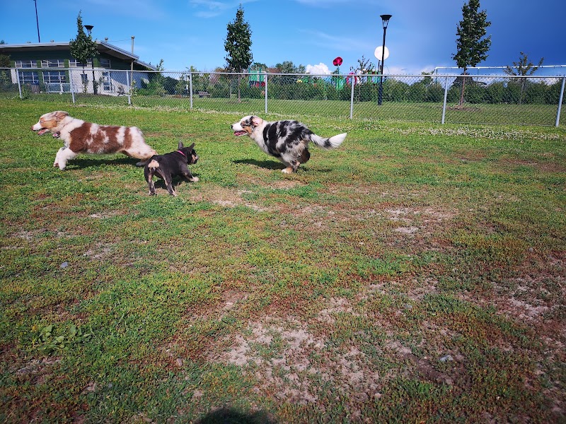 Félix-Leclerc Park dog park dog park in Montreal, Quebec