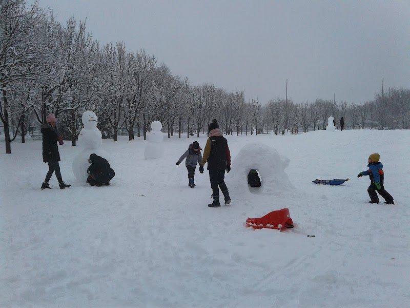 Sir-Wilfrid-Laurier Park dog park dog park in Montreal, Quebec