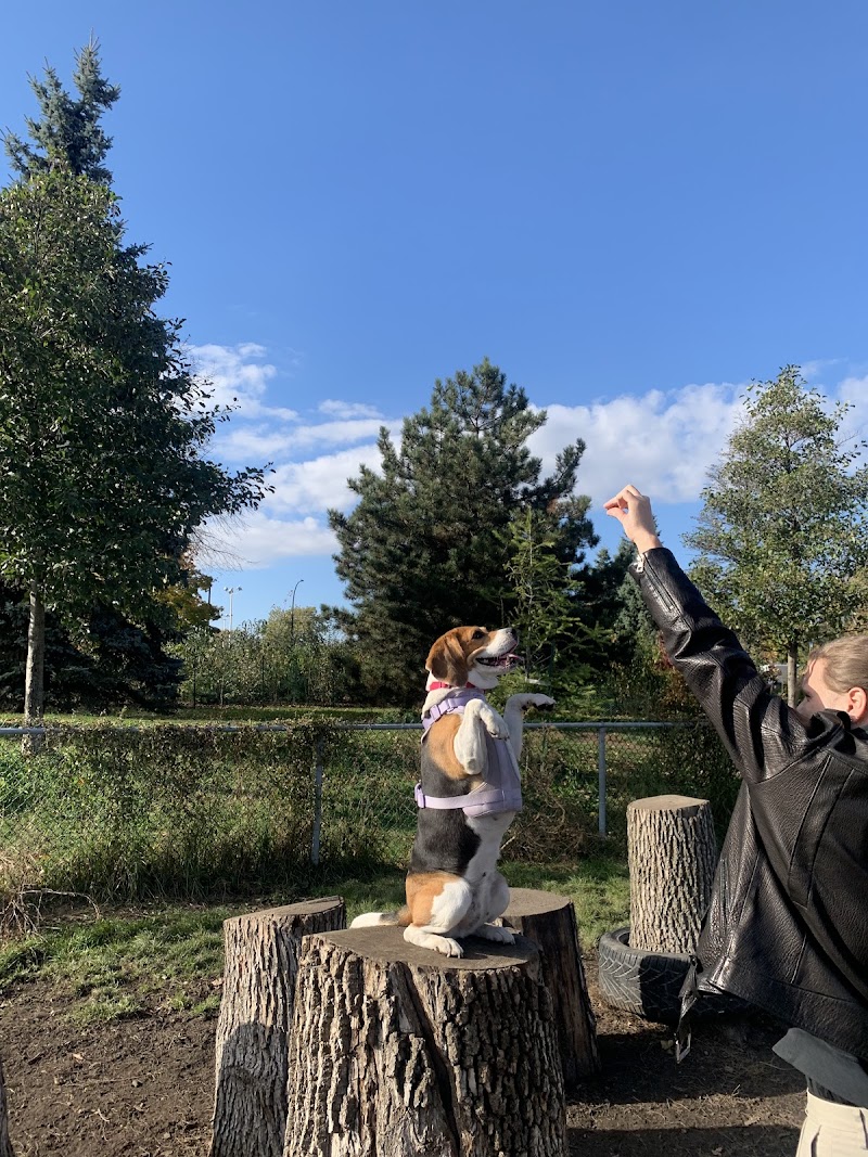 Sir-Wilfrid-Laurier Park dog park dog park in Montreal, Quebec