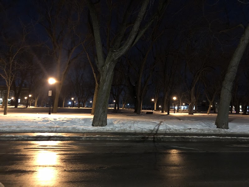 Sir-Wilfrid-Laurier Park dog park dog park in Montreal, Quebec