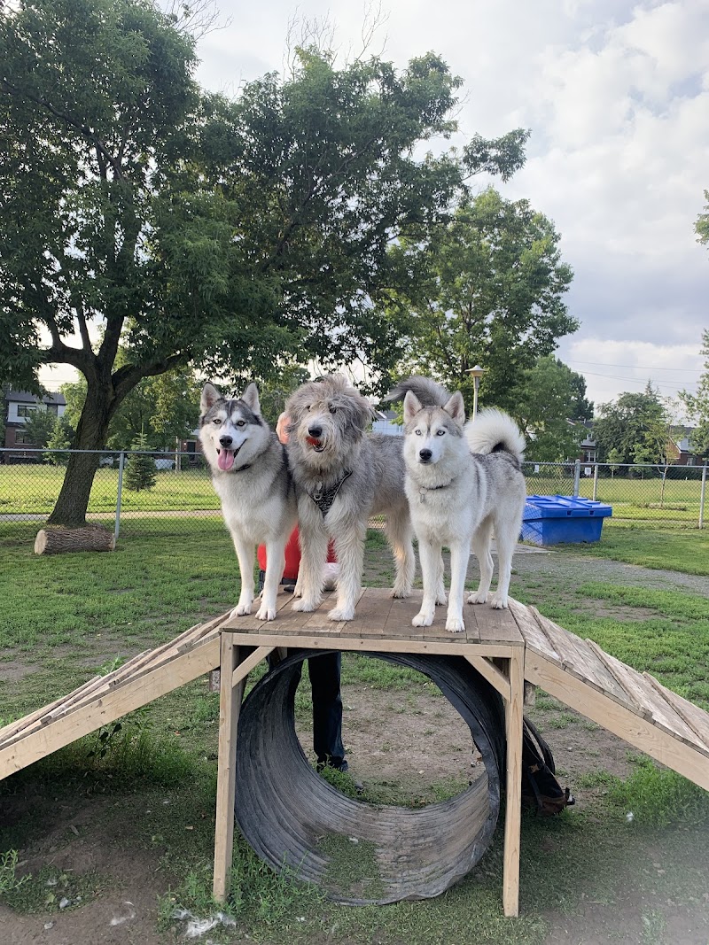 Louisianne dog park dog park in Montreal, Quebec