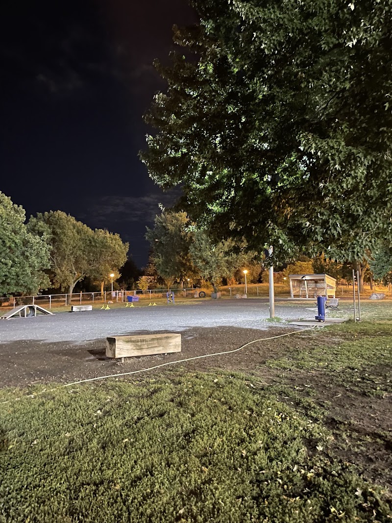 Louisianne dog park dog park in Montreal, Quebec