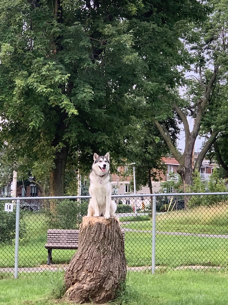 Louisianne dog park dog park in Montreal, Quebec