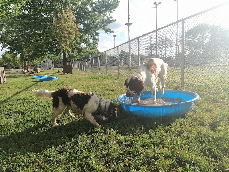 Louisianne dog park dog park in Montreal, Quebec